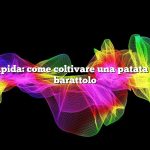 Risposta rapida: come coltivare una patata dolce in un barattolo