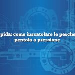 Risposta rapida: come inscatolare le pesche senza una pentola a pressione