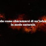 Risposta rapida: come sbarazzarsi di un’infezione sinusale in modo naturale