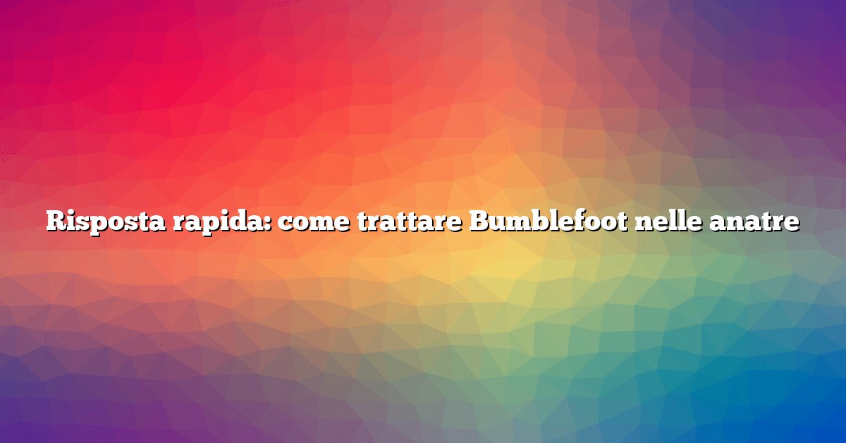 Risposta rapida: come trattare Bumblefoot nelle anatre