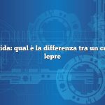 Risposta rapida: qual è la differenza tra un coniglio e una lepre
