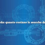 Risposta rapida: quanto costano le mucche delle Highland