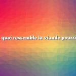 à quoi ressemble la viande pourrie