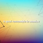 à quoi ressemble le manioc