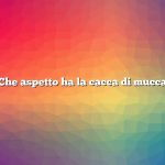 Che aspetto ha la cacca di mucca