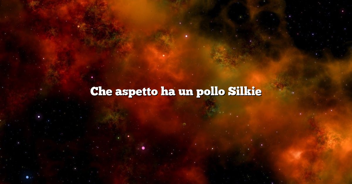 Che aspetto ha un pollo Silkie