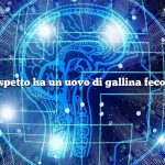 Che aspetto ha un uovo di gallina fecondato