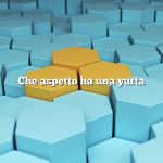 Che aspetto ha una yurta