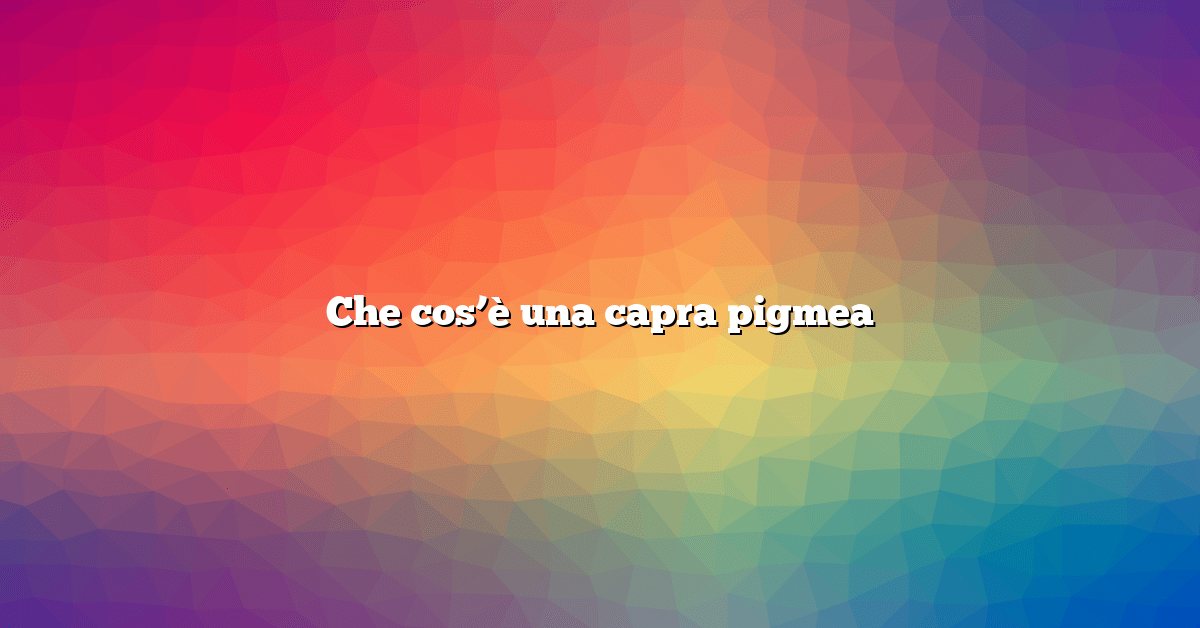 Che cos’è una capra pigmea