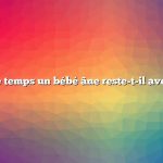 Combien de temps un bébé âne reste-t-il avec sa mère ?