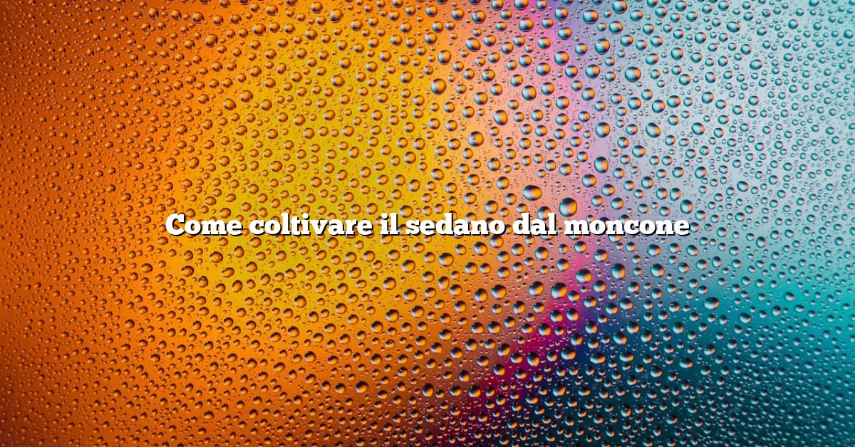 Come coltivare il sedano dal moncone