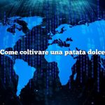 Come coltivare una patata dolce