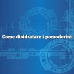 Come disidratare i pomodorini