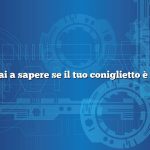 Come fai a sapere se il tuo coniglietto è incinta
