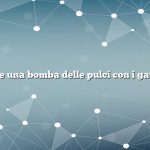 Come fare una bomba delle pulci con i gatti indoor
