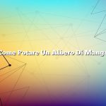 Come Potare Un Albero Di Mango