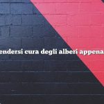 Come prendersi cura degli alberi appena piantati