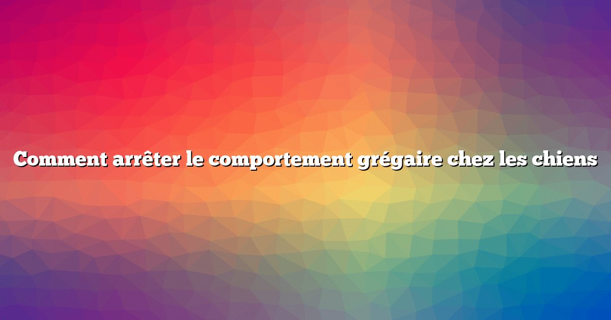 Comment arrêter le comportement grégaire chez les chiens