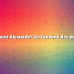 comment dissuader les faucons des poulets