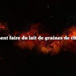 Comment faire du lait de graines de chanvre