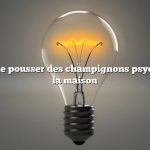 Comment faire pousser des champignons psychédéliques à la maison