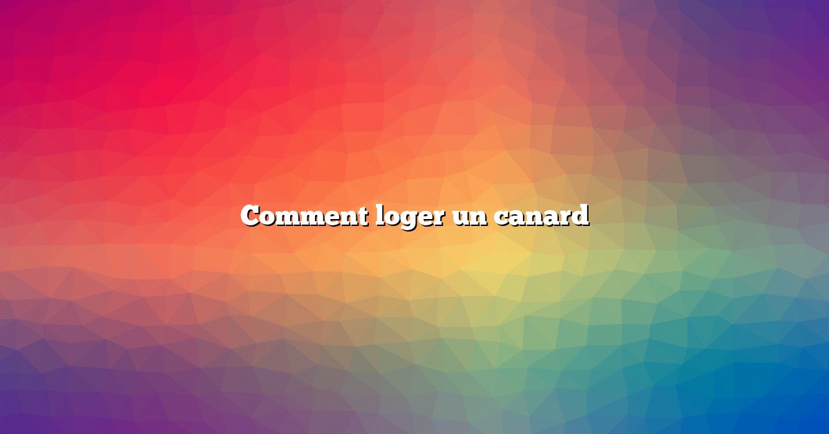 Comment loger un canard