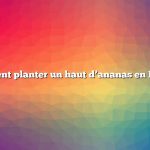 comment planter un haut d’ananas en Floride