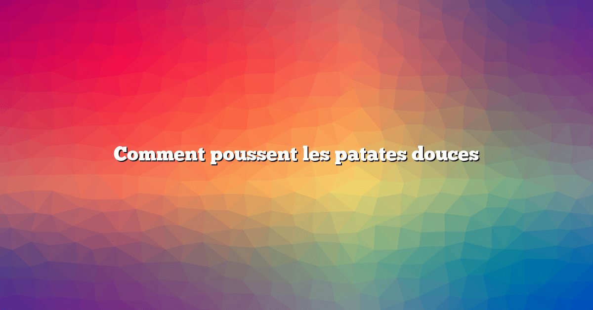 Comment poussent les patates douces