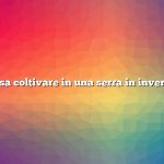 Cosa coltivare in una serra in inverno