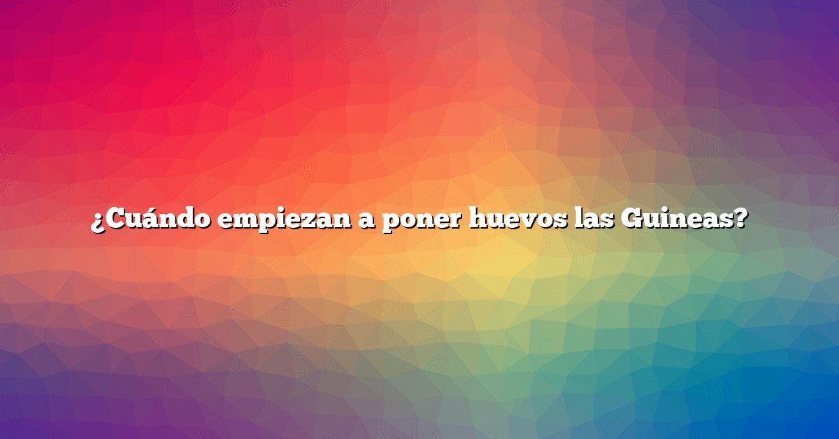 ¿Cuándo empiezan a poner huevos las Guineas?