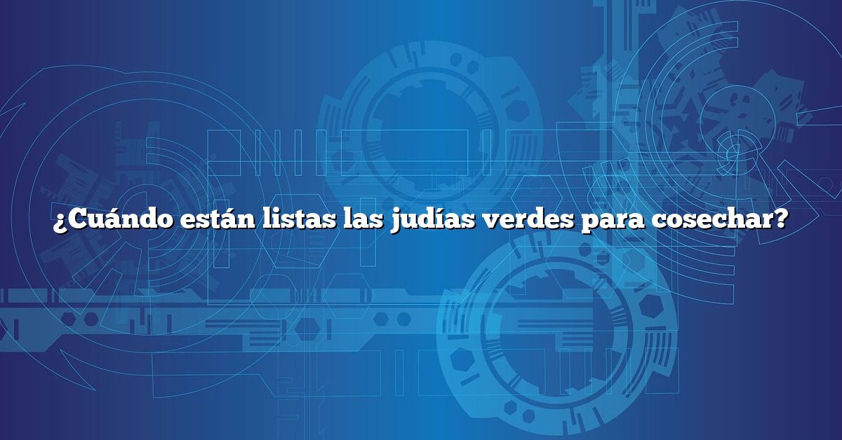 ¿Cuándo están listas las judías verdes para cosechar?