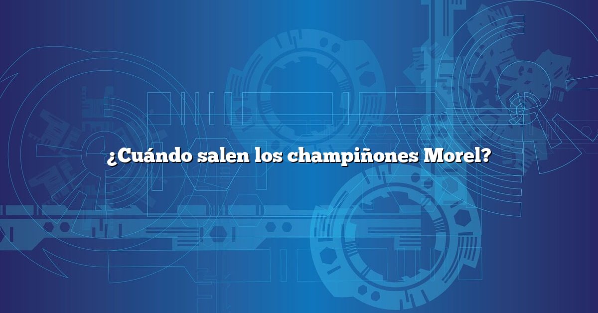 ¿Cuándo salen los champiñones Morel?