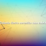 ¿Cuánta tierra necesita una cabra?