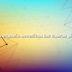 ¿Cuánto espacio necesitan las cabras pigmeas?