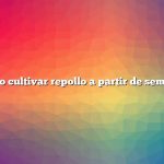 Cómo cultivar repollo a partir de semillas