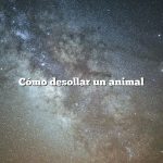 Cómo desollar un animal