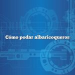 Cómo podar albaricoqueros