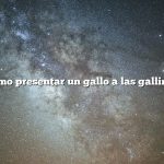 Cómo presentar un gallo a las gallinas