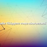 Domanda: Chiggers come sbarazzarsi di loro