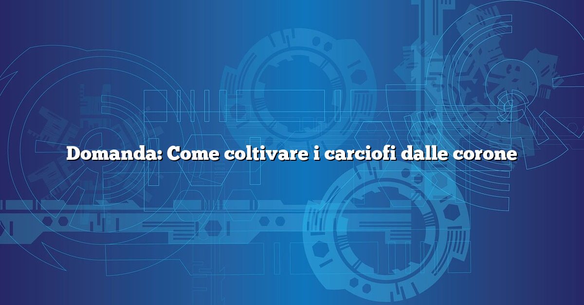 Domanda: Come coltivare i carciofi dalle corone
