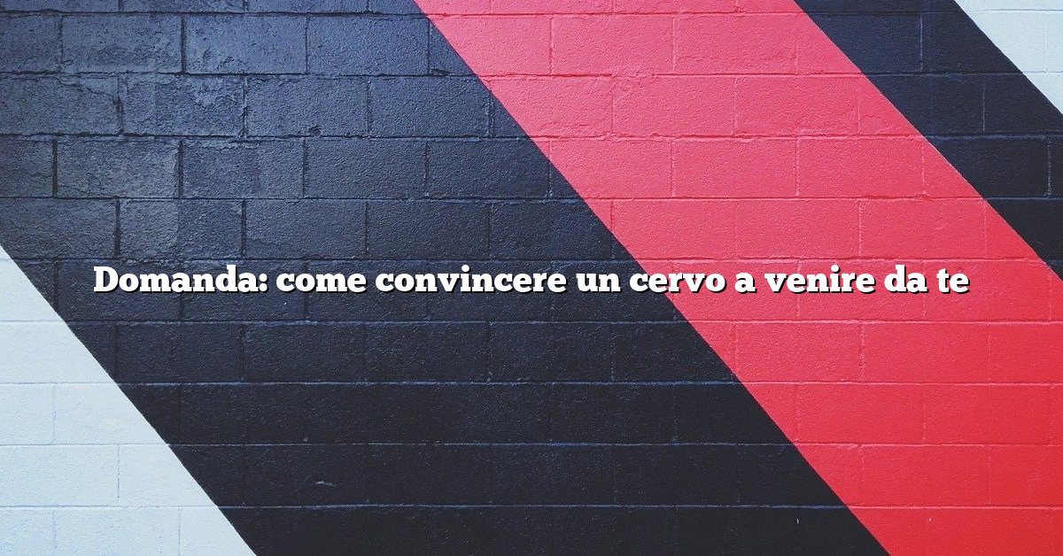 Domanda: come convincere un cervo a venire da te