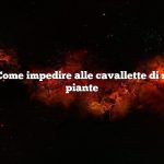 Domanda: Come impedire alle cavallette di mangiare le piante