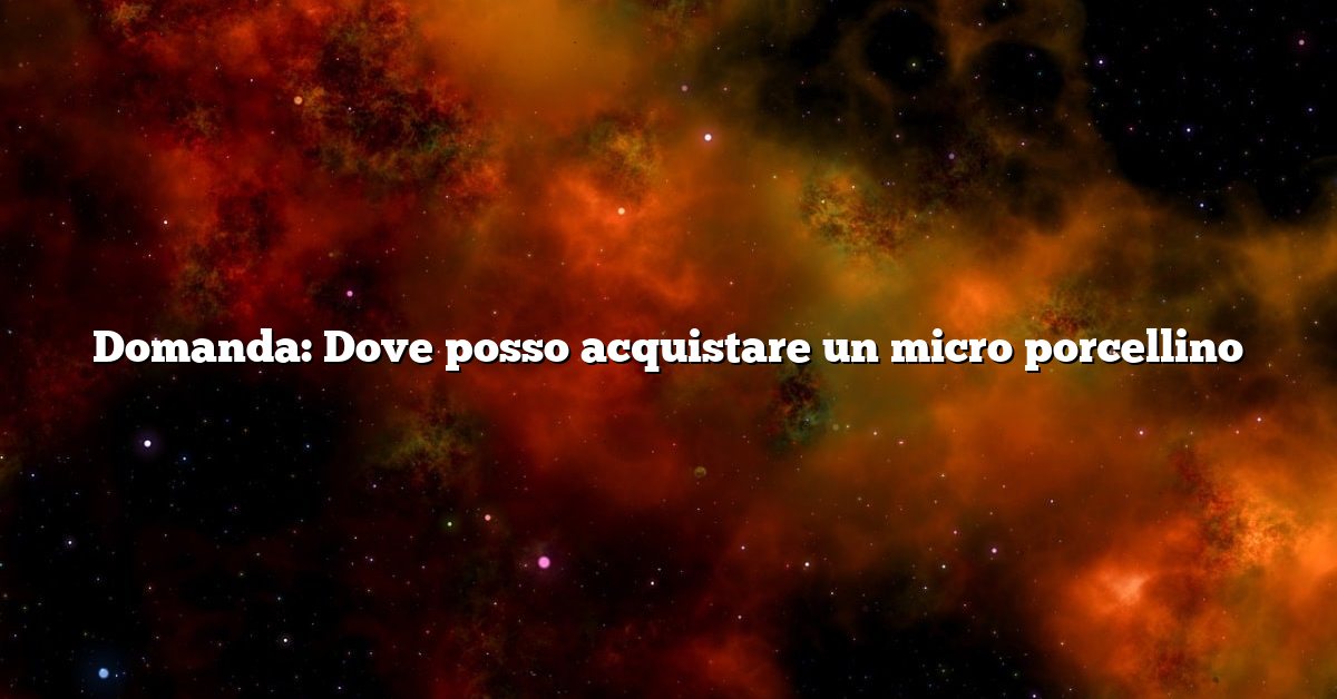 Domanda: Dove posso acquistare un micro porcellino