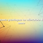 Domanda: quanto guadagna un allevatore di capre in un anno