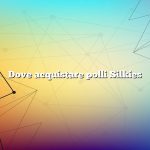 Dove acquistare polli Silkies