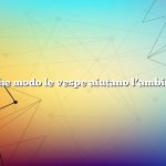 In che modo le vespe aiutano l’ambiente