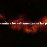 Lo que mata a los saltamontes en las plantas