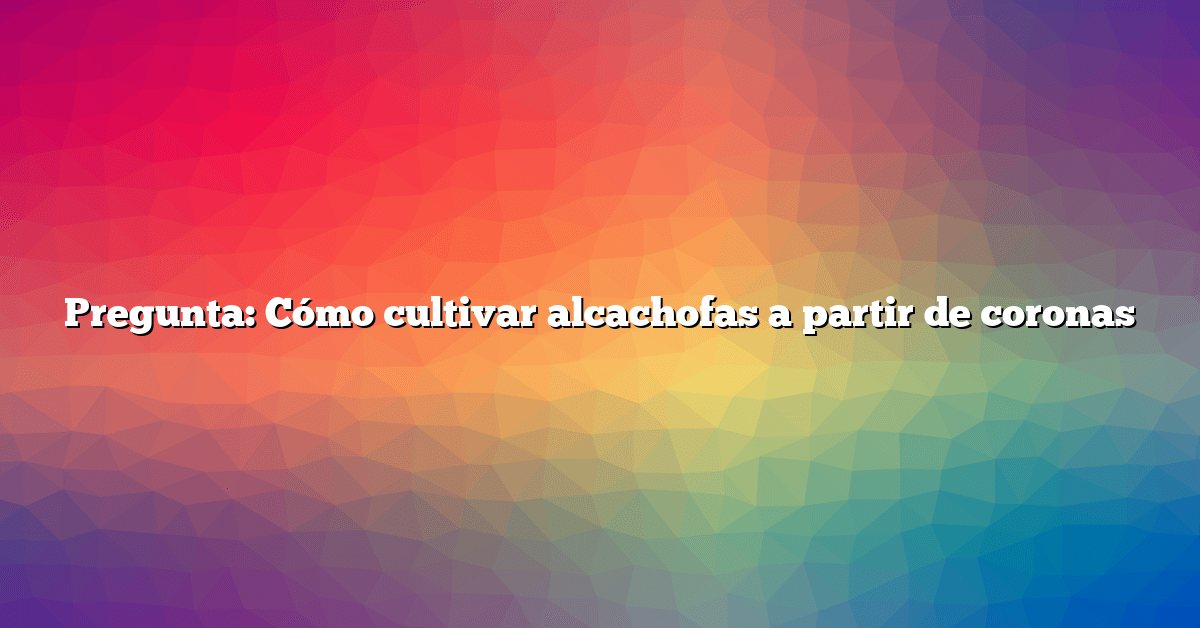 Pregunta: Cómo cultivar alcachofas a partir de coronas