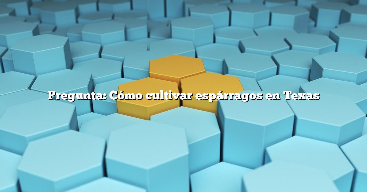 Pregunta: Cómo cultivar espárragos en Texas