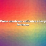 Pregunta: Cómo mantener calientes a los pollos en el invierno